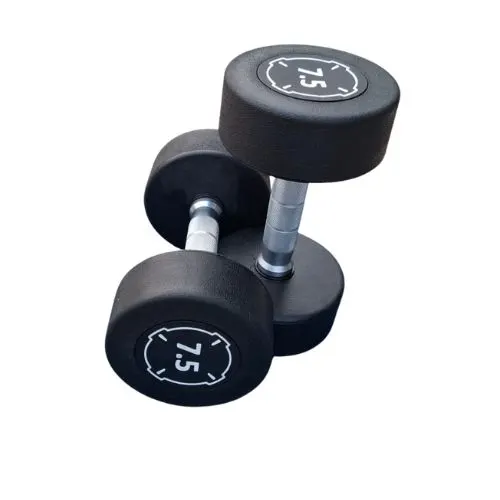 Premium bouncer dumbbells